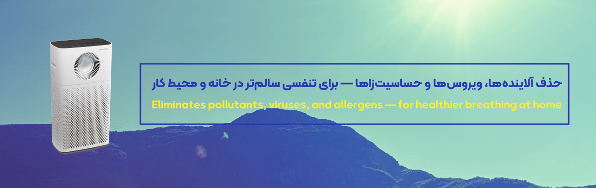 رامین 24